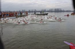 Завршено 21. пливање за Часни крст у Земуну за Часни крст