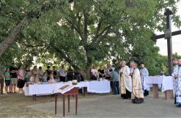 Кнежевих винограда